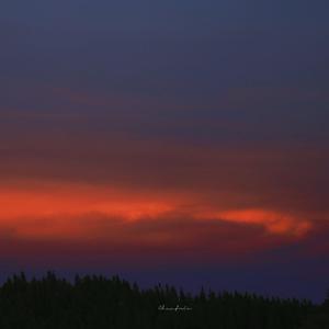 阿拉伯人丁丁视频内容
