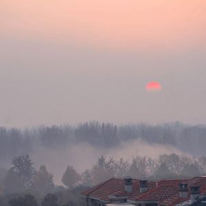 阿拉伯人丁丁视频内容
