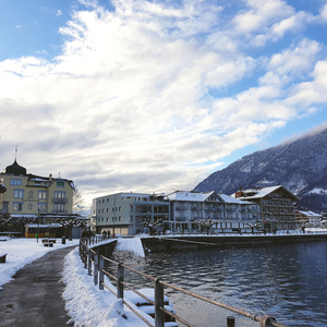 阿拉伯人丁丁视频内容
